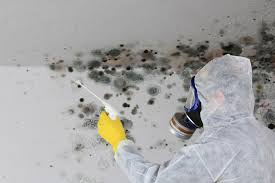 Best Biohazard Mold Removal  in North Lakeport, CA